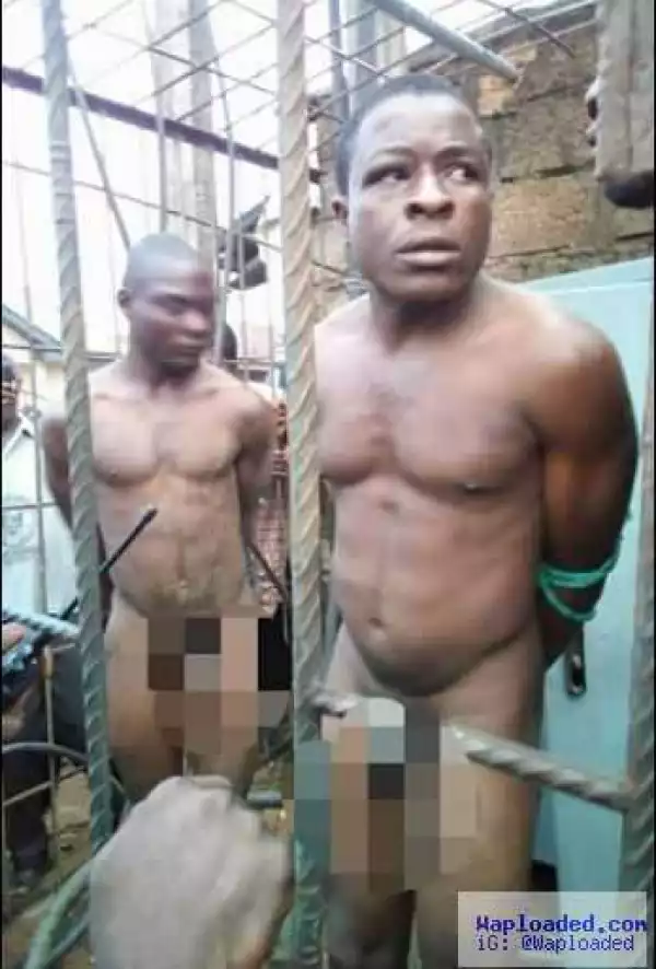 Cable thieves stripped naked, tied to transformer in Abia [PHOTOS]